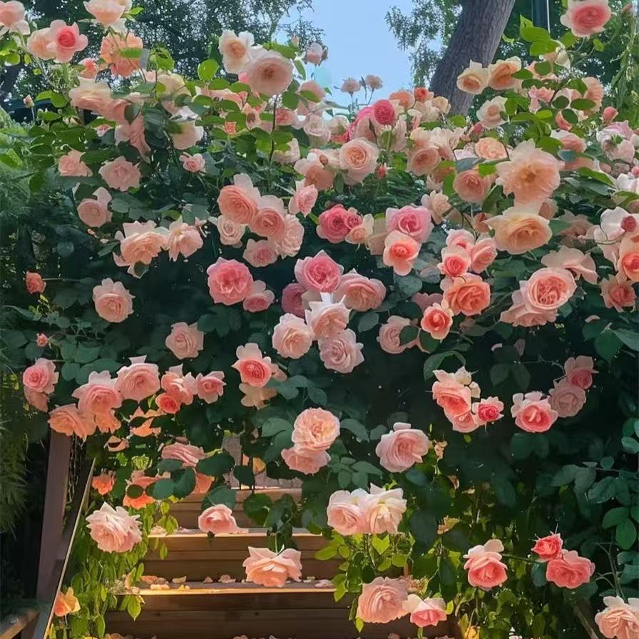 01b53009b0568e744a0324d232922c