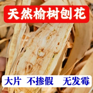 ���x���xԭ���B�ܰ�Ƥ��ș�� ��؛ �ܘ�Ƥ��Ƥ �ܘ�Ƥ ��Ƥ ��؛