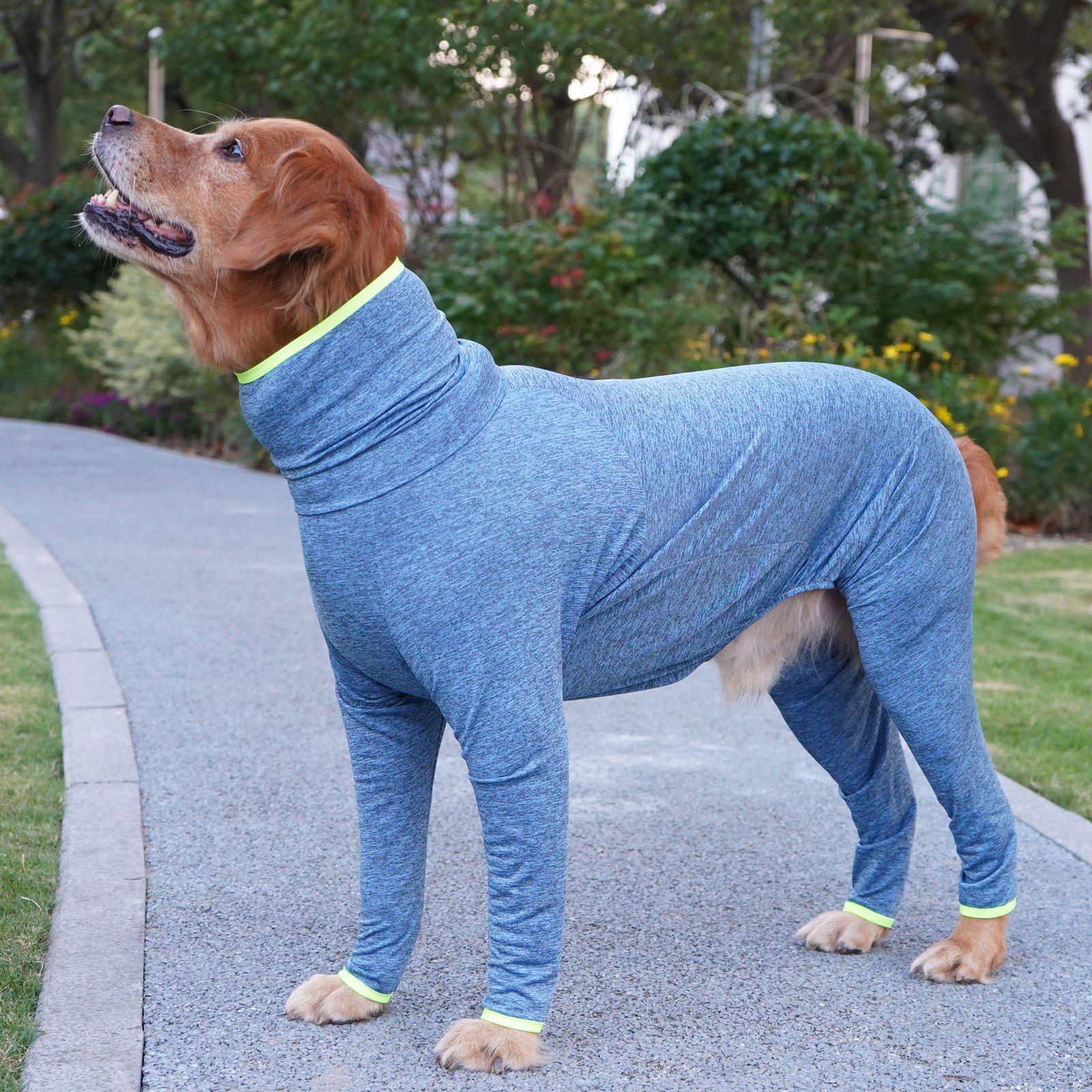 寵它不沾毛大型犬衣服休閒連體狗狗四腳衣金毛拉布拉多寵物服飾