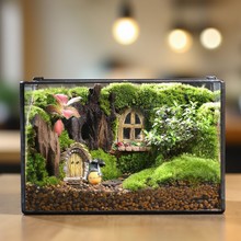 ̦\΢^ƷGֲ쾰ƿYƷֲʯ^