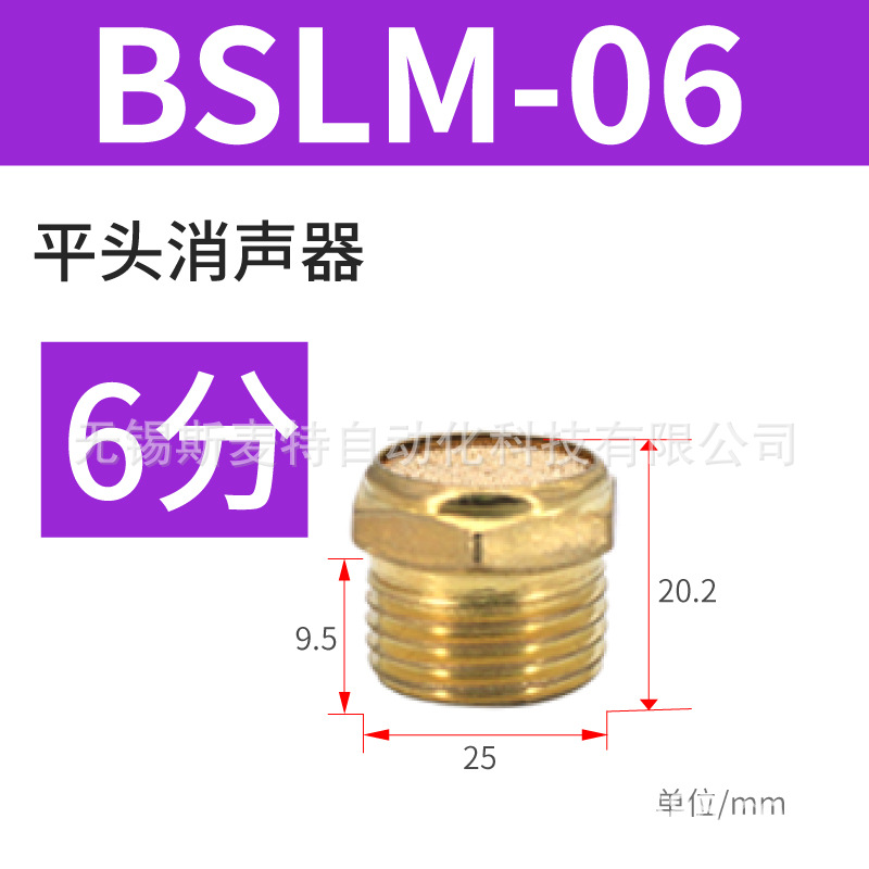 ֱͭ ƽͷBSLM-01/02ŷ 