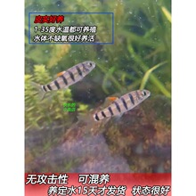 ԭ��Ϫ���~ ��ˮ�^�p�~ ��ˮ�~ Ϫʯ���~���w С���~�ⴽ�~���R�~