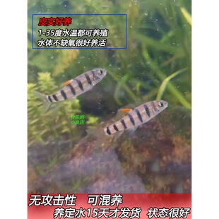 ԭ��Ϫ���~ ��ˮ�^�p�~ ��ˮ�~ Ϫʯ���~���w С���~�ⴽ�~���R�~