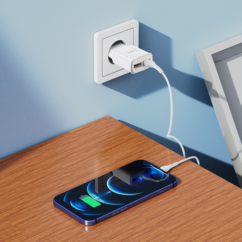 Dual Port Usb Wall Charger For Apple Android And Type-c Devices_voghion.com