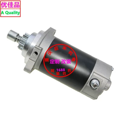 Starter and accessories Outboard Motor 11