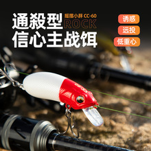 ����·��΢�����Z���D��������T���ط��������h�u�L����·���D