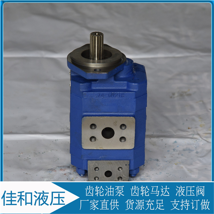 泊姆克双联齿轮油泵厂家直供1121012672 .1150041595 1121012179