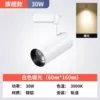 [白壳-暖光_升级加亮款30W【1只装】]