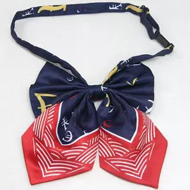 领带;领结/领花;头花