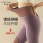 超柔软高品质高腰收腹秋裤
