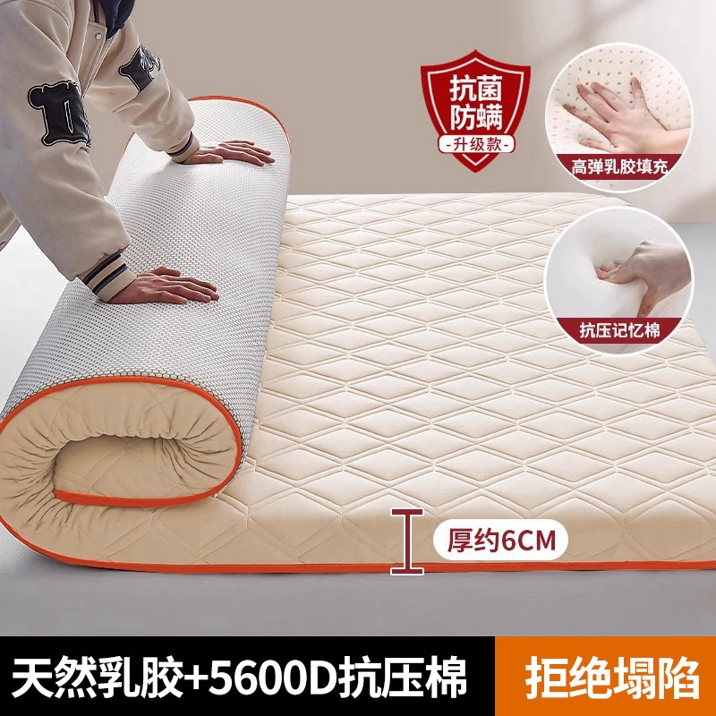 [전용모델] 팡링게 - 낙타 두께 약 6cm [수면의 질이 좋지 않은 분들에게 적합]