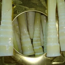 【古恬】水煮桂竹笋罐装11kg 甜笋 淡竹笋 罐头笋 竹笋罐头批发