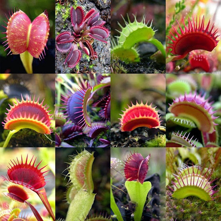 O1CN01zHxlEu2HtJecDgubR_!!2211