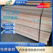 �����Ɍ�ľ������挒�������ɹŽ������������廨���ɹŽ���