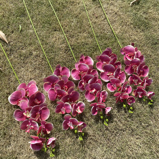 Slõtɫϵc滨 YYñ 廨bٻ