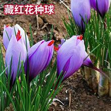 �ؼt���N��갼t��������ܷN�����t�����t������������ѷNֲ