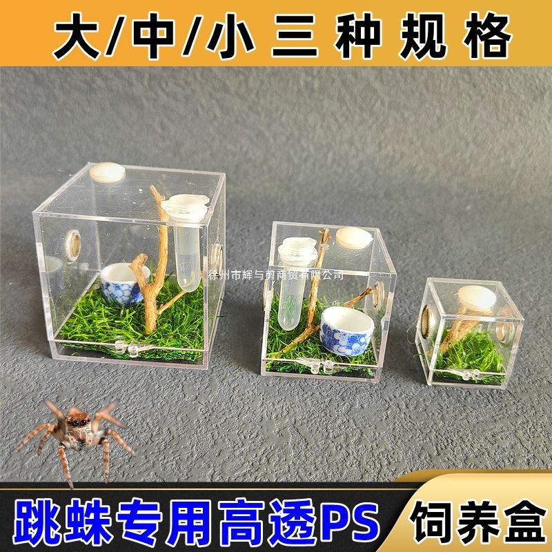 Spider Jumping Spider Small Pet Reptile Insect Cricket Transparent Ornamental Jumping Spider Professional Breeding Box