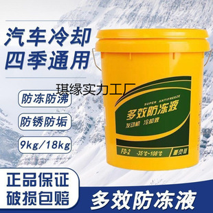Automobile National Standard Gasoline Car Coolant Red Type Long-Lasting Wangzhao Household Four-Season Engine Antifreeze 32 Qi Yuan