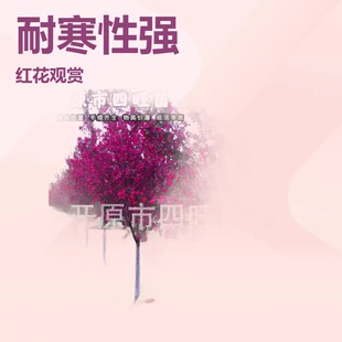 2026�|������ϵ���ͺ����x �t�~���� ���庣�Ę���a�ع���