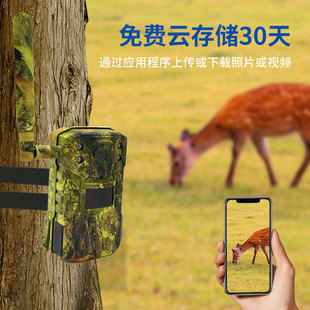 Camouflage Hd 4g Smart Cross-Border Camera Battery Infrared Outdoor Monitoring Night Vision Camera Waterproof Wide Angle