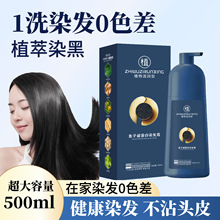 鱼子酱泡泡染发霜蛋白植物精华男女士盖白发温和上色不刺激染发剂