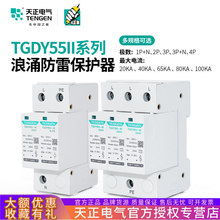 TGDY55IIӿӿo2P/3P+N/4Pױ20KA40KA