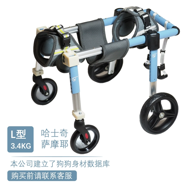 L four -wheeled blue