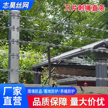 ��Ƭ���K���P�ֱ�l���P���o�W���K�̾W�����F�z���I�����̇�