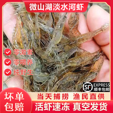 清水小河虾鲜活淡水草虾活虾冰冻新鲜大号青虾鱼食速冻土虾