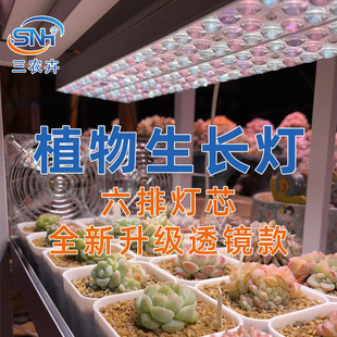 Three Rural Florals, Succulent Light Replenishment, Full Spectrum Lens, Plant Growth, Hydroponic Vegetable Seedling, Flower Led Light Row