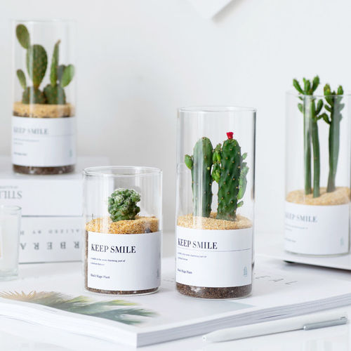 Simple Nordic ins transparent glass vase succulent hydroponic straight glass flowerpot cactus gardening bottle wholesale