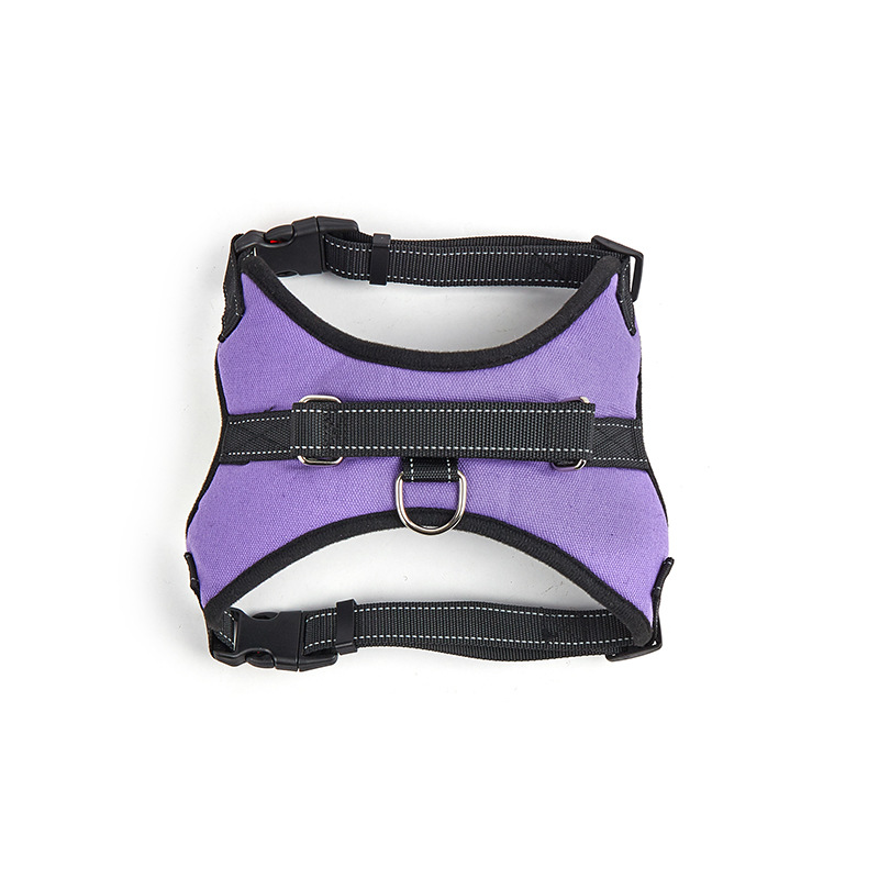 보라색 안장 스타일의 가슴과 등