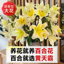 ?�S��԰ٺϻ��Sɫ��ˮ�ٺ��r�����^��ϻ���ֱ�l���ò�ƿˮ�B��