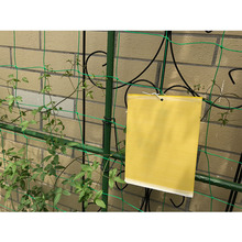 ճ�x���p���S�������ҷ��x�T�x�N�����@մ��ωС���w�x�T����