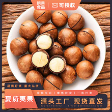 夏威夷果健康零食送礼坚果炒货休闲食品儿童孕妇解馋小吃手剥薄皮