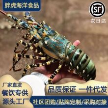 �r��С�������r�r����؛�r��r�������r��������r�W�����޴���