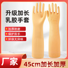 ���L���z����45cm��ˮ�Ӻ�Ƶ��坍�l�������|ϴ܇���ü҄�����