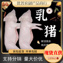 ���rС���i�F�����i�ك������i���rС�i�����i�Ƶ�������i