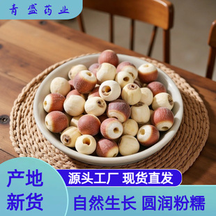 ��ș������ �͌��r���u�^�װ���w�͌����ĥ�͌��۟o����؛