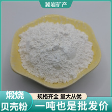 冀岩 煅烧贝壳粉 动物饲料添加内外墙涂料果蔬清洗剂 钙含量高