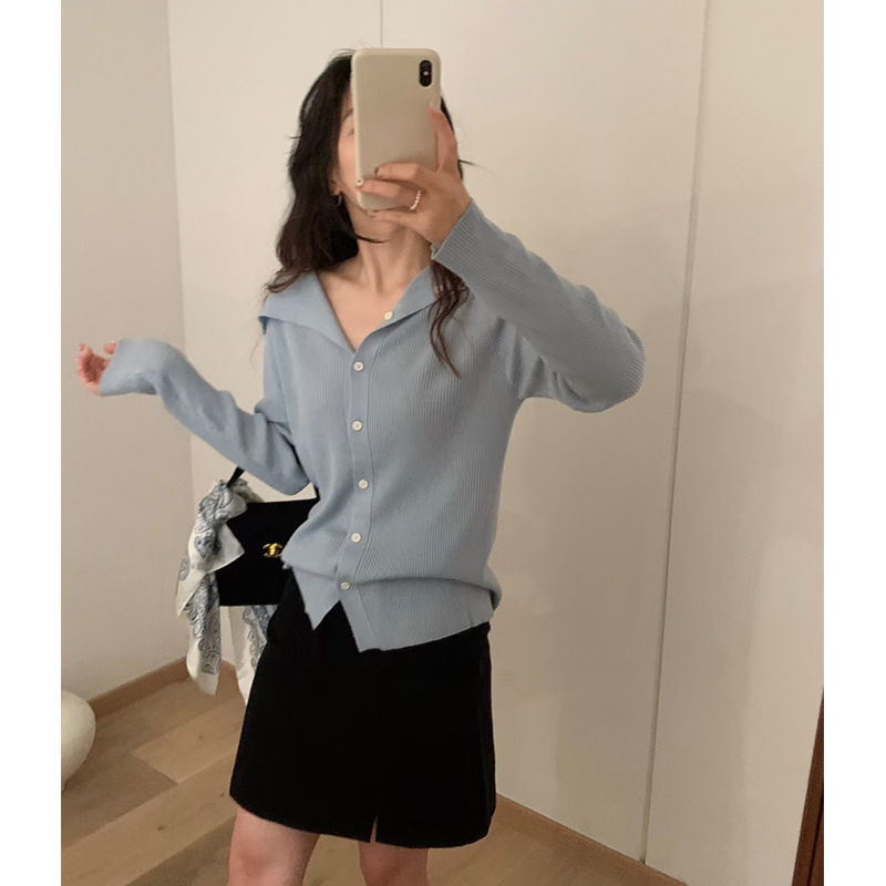气质通勤穿搭细羊毛简约高级感翻领薄款针织衫女秋季新款修身打底|undefined