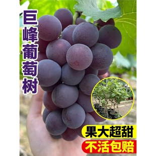 �޷����ј����m�ϱ����ͺ��Nֲꖹ�õ���Ϙ��ش�̖������ͥԺ����