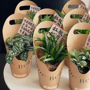 �̎����A����������Ժ��r�����Y���b��DIY�Y�л�ˇ���Ϲ��S���l