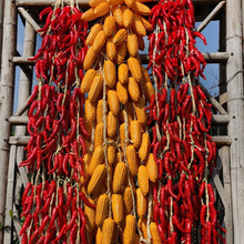 �����߲˴����������������r�Ҙ��ͥԺ�b��r����ģ�͒��