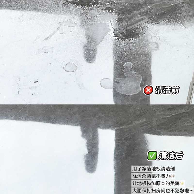 床用洗剤 タイル磨き 汚れ落とし 強力モップ液 浴室用 長時間香り持続タイプ 550ml 除菌|undefined