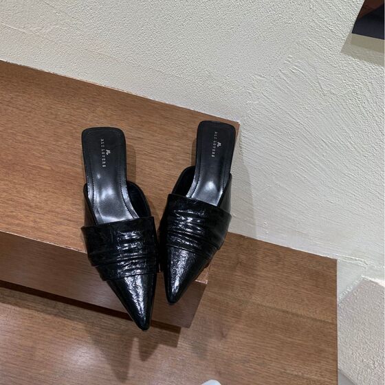 1120-8 ~ Baotou Half Slippers Women's Shoes Wear 2025 New Thick Heel French Pointed Lazy Muller Shoes
