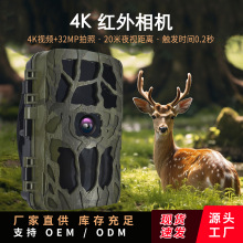 �羳����4K�t�����C���C �O�ؑ�����мt��Б��|�l��C���C H982
