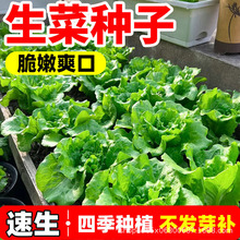 ˷NӴȫļ̨Nֲ͟ẮƷNr߲ѷN