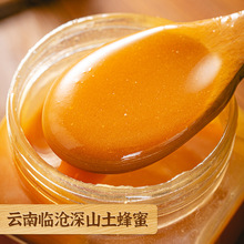 500g瓶装蜜纯正土蜂蜜农家土蜂蜜百花结晶正宗蜂蜜批发
