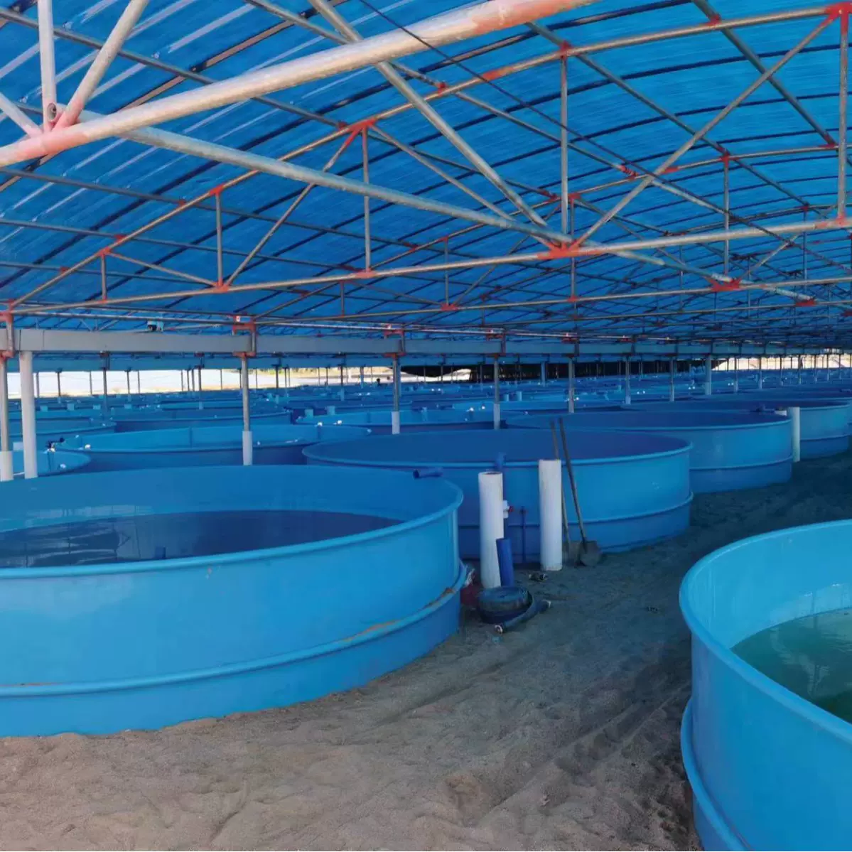 现场定制PP PE养殖池环保无毒耐腐蚀使用寿命长